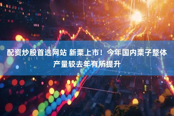 配资炒股首选网站 新栗上市!今年国内栗子整体产量较去年有所提升
