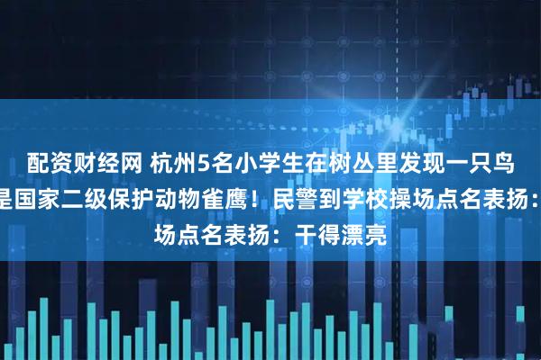 配资财经网 杭州5名小学生在树丛里发现一只鸟,经查竟是国家二级保护动物雀鹰!民警到学校操场点名表扬:干得漂亮